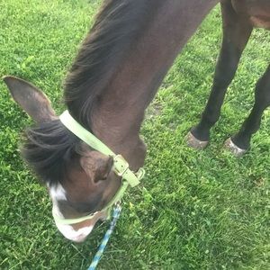 Meet your Posher, Holly